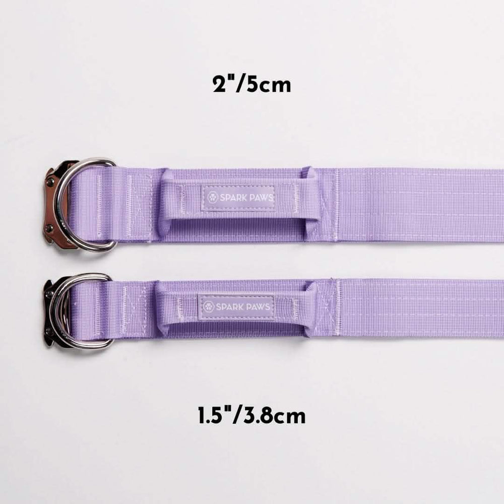 Comfort Control Collar - Lilac – SPARK PAWS