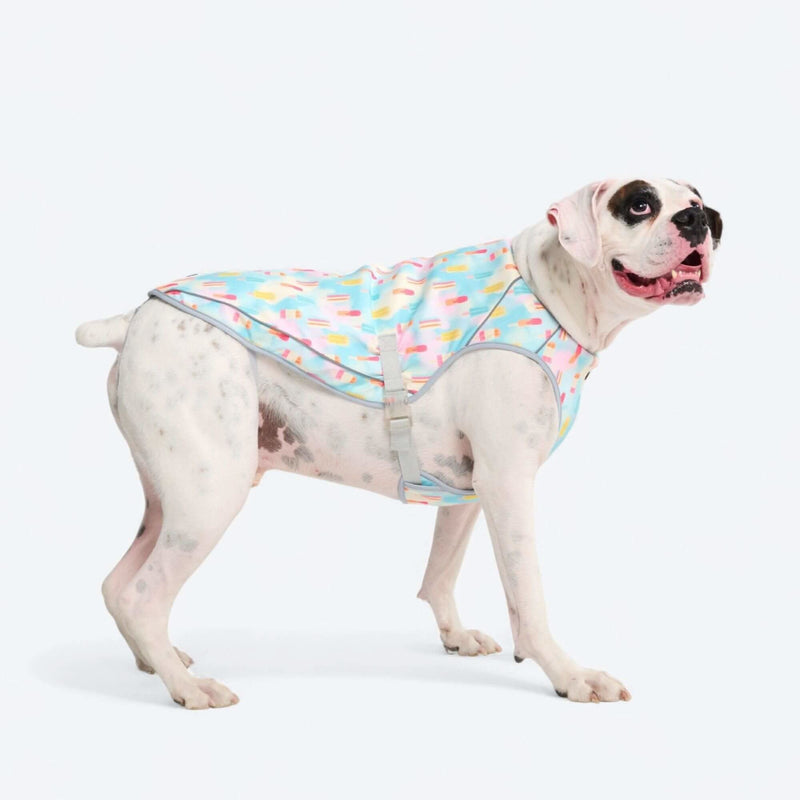 Popsicle Cooling Vest