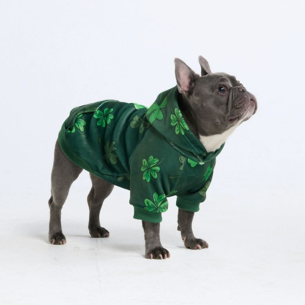 St. Paddy's Human Hoodies (Limited Edition) – SPARK PAWS