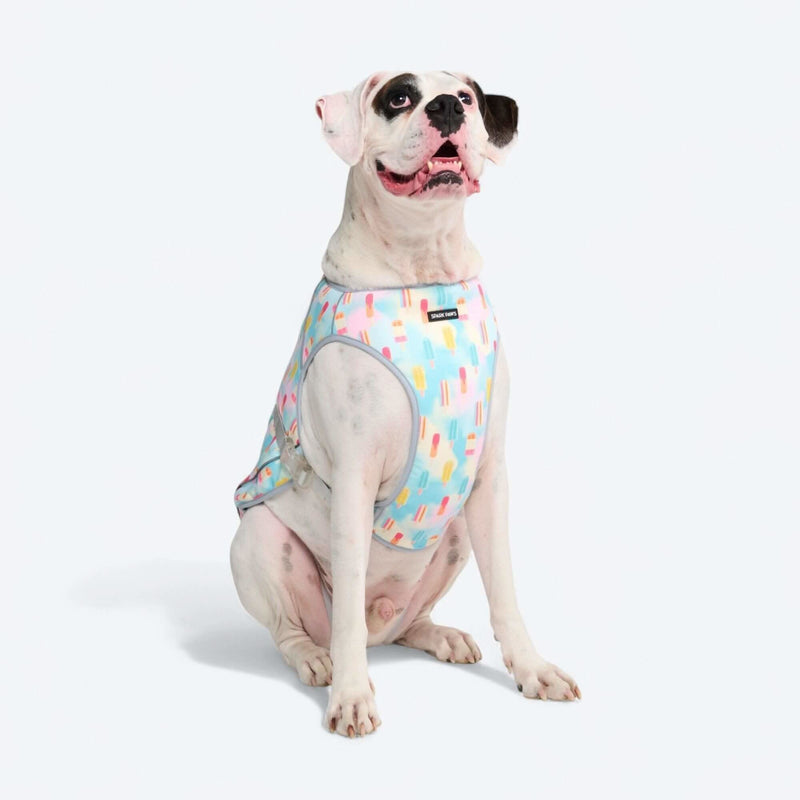 Popsicle Cooling Vest