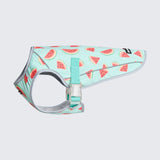 Watermelon Cooling Vest