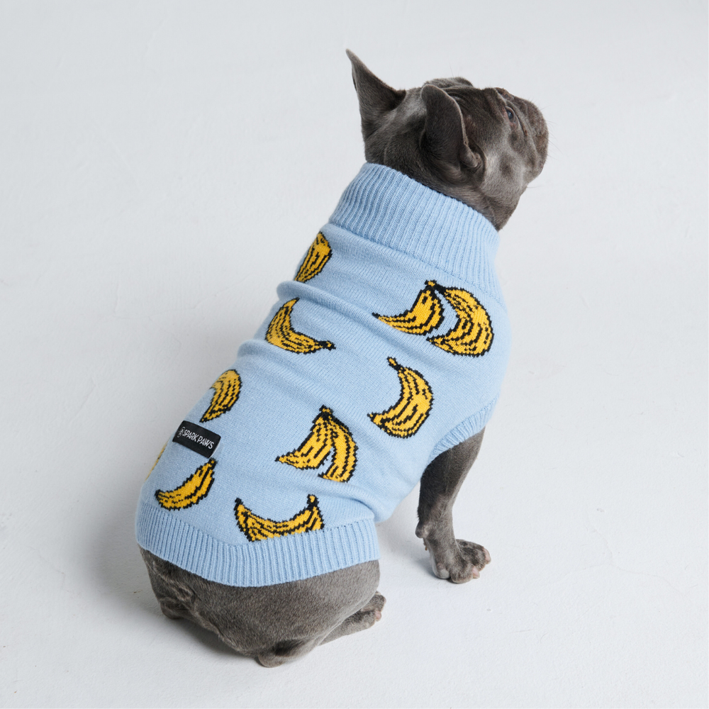 Matching Hoodies For Dog And Owner Knit Dog Sweater Prints