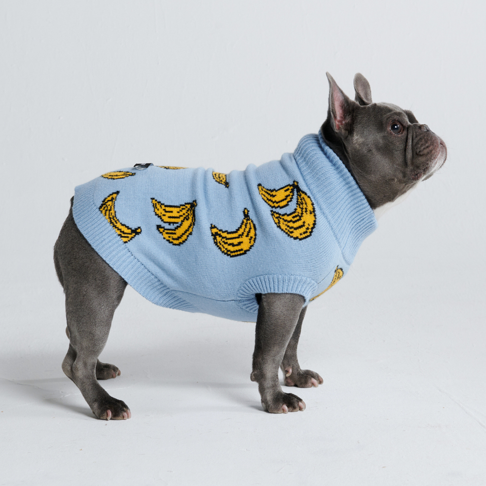 Banana Knit Dog Sweater – SPARK PAWS