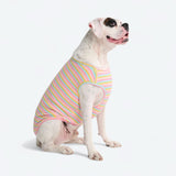 Pink Yellow Stripe Shirt