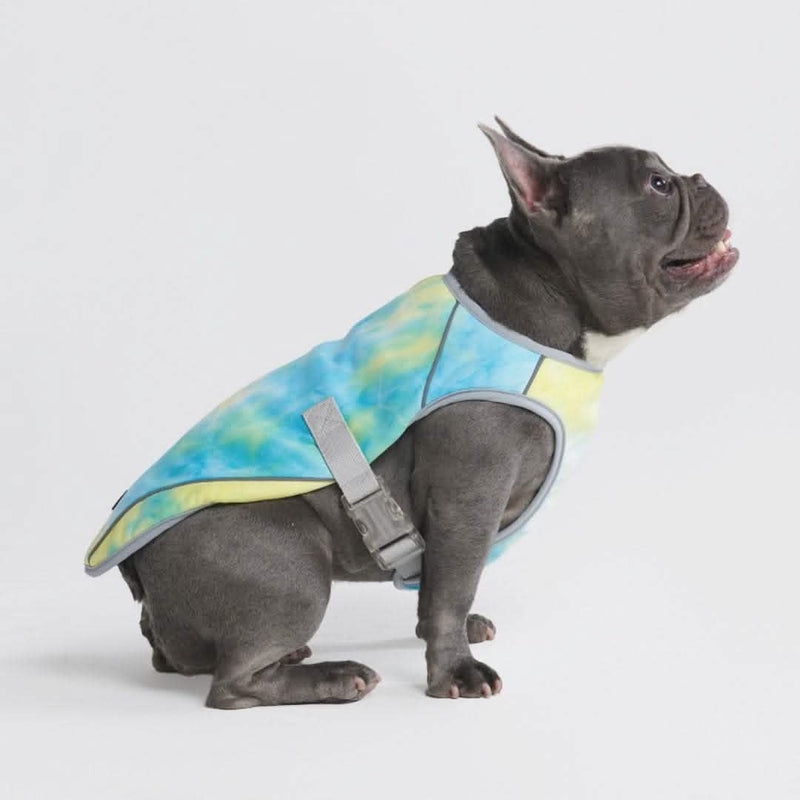 Dog Cooling Vest Tropical Storm – SPARK PAWS - Main Image