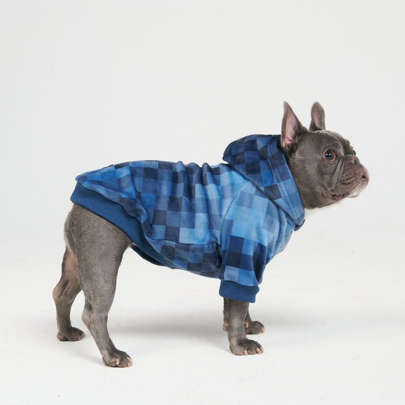 Blue Checkered Gradient Dog Hoodie