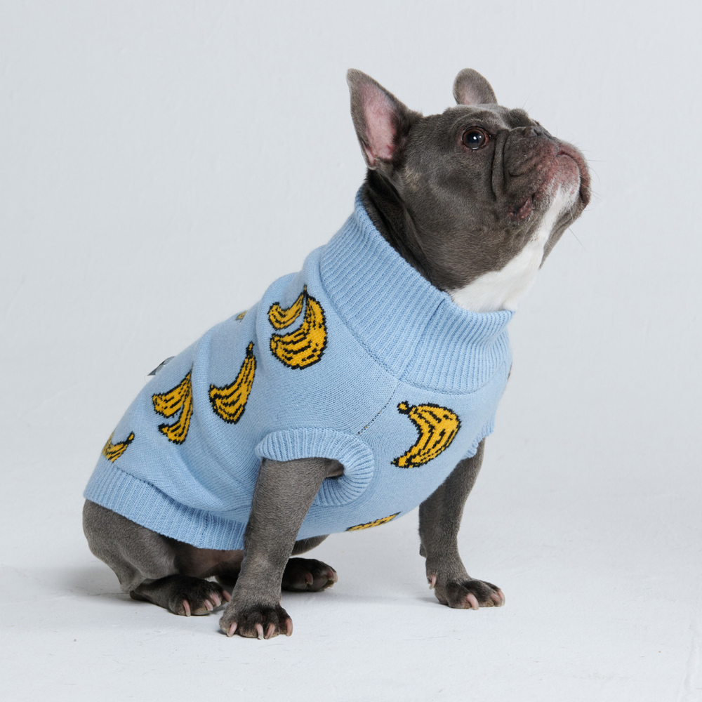 Banana Knit Dog Sweater – SPARK PAWS