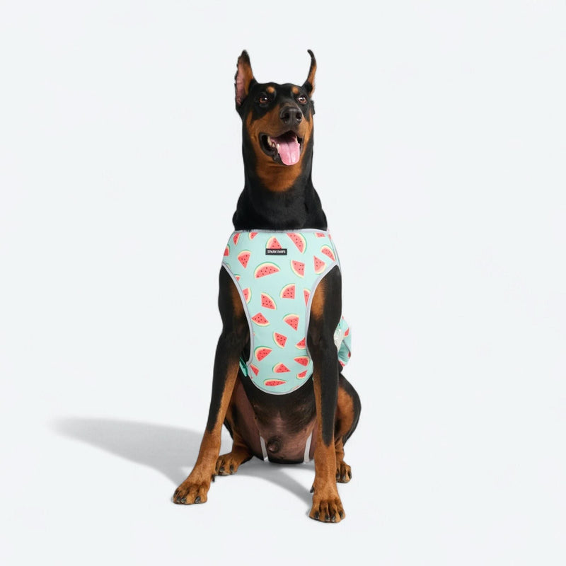 Watermelon Cooling Vest