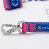 Multipurpose Seatbelt Handsfree Leash & Poop Bag Holder Set - Snow Cone