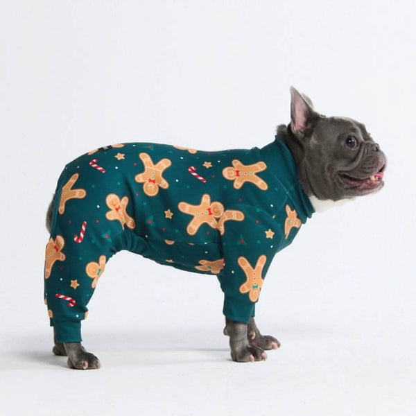 Dog Christmas Pajamas – SPARK PAWS1