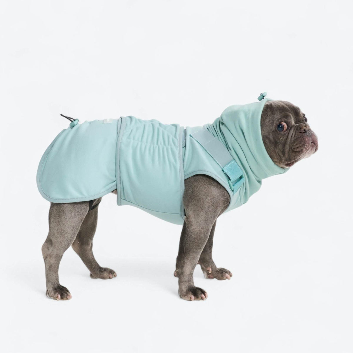 Anxiety Calming Suit – SPARK PAWS