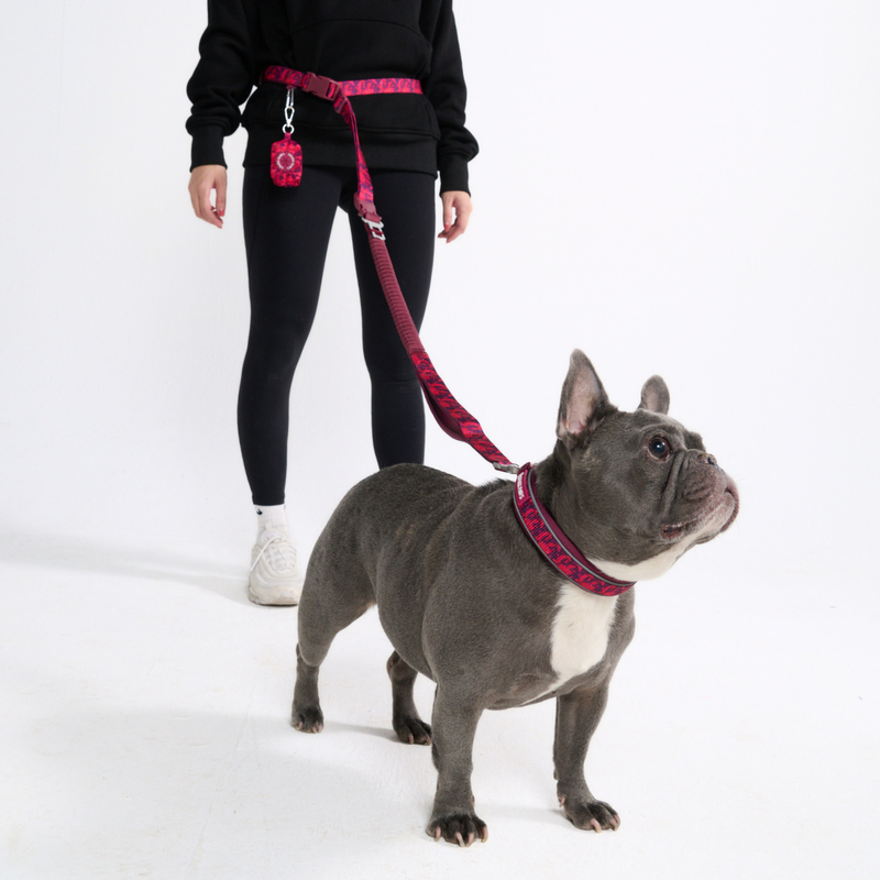 Fuchsia Camo Neoprene Leash