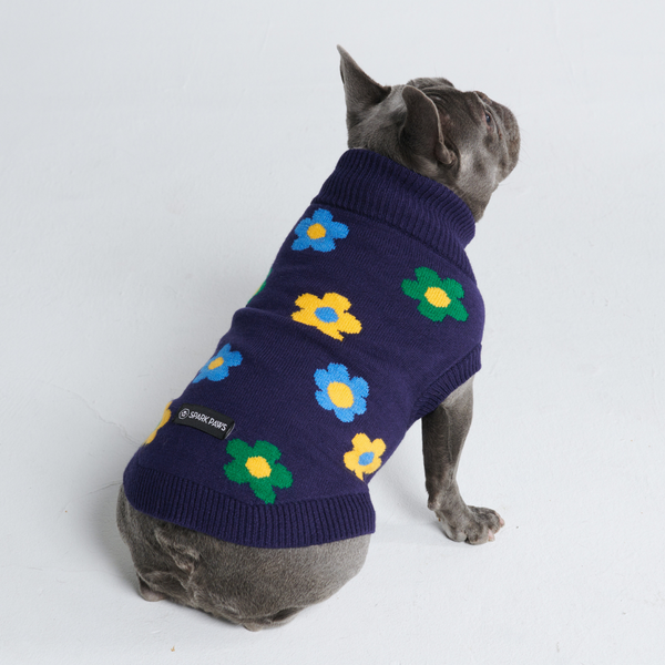 Flower Knit Dog Sweater - Blue Green Yellow