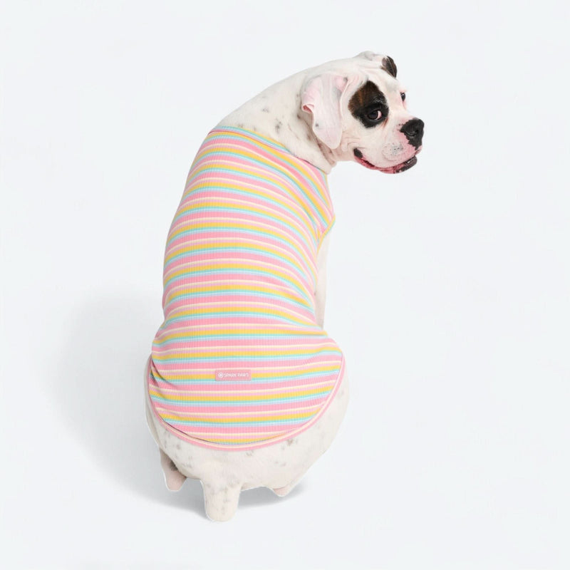 Pink Yellow Stripe Shirt
