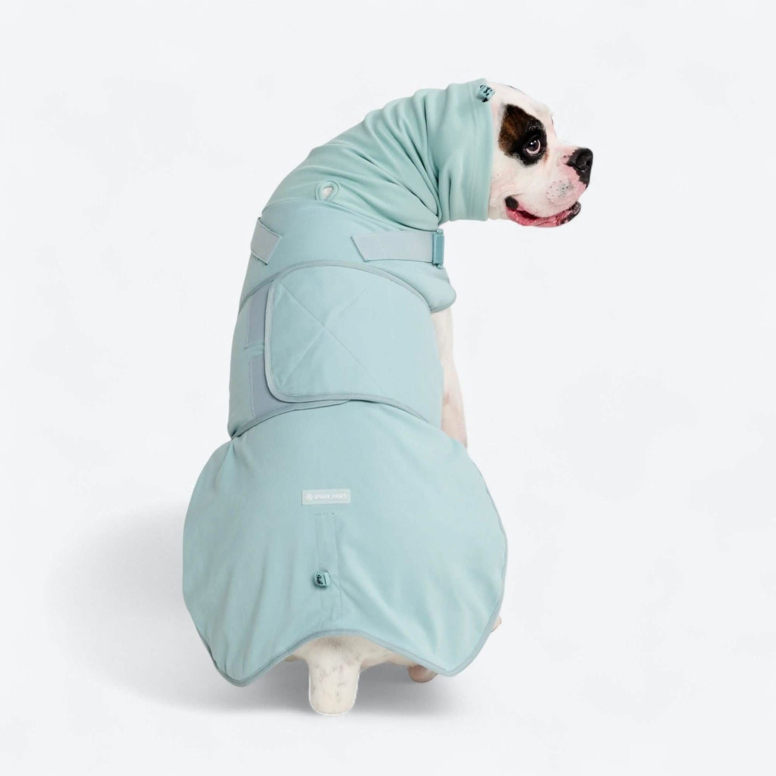 Anxiety Calming Suit – SPARK PAWS