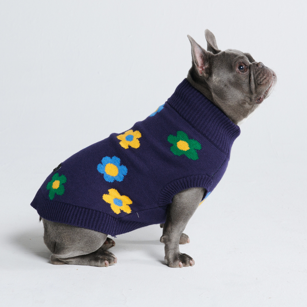 Flower Knit Dog Sweater - Blue Green Yellow – SPARK PAWS