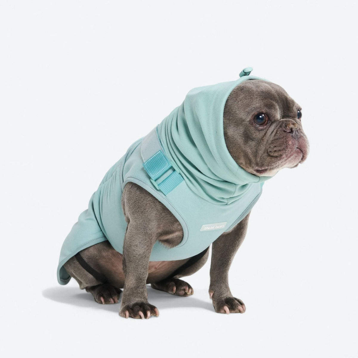 Anxiety Calming Suit - Teal – SPARK PAWS