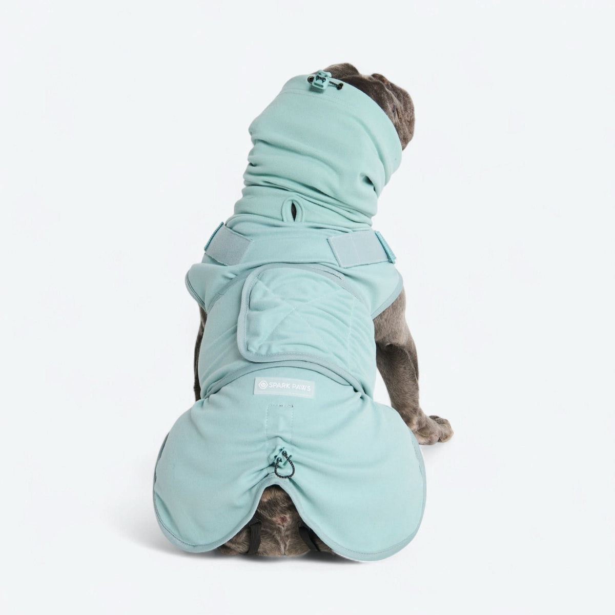 Anxiety Calming Suit - Teal – SPARK PAWS