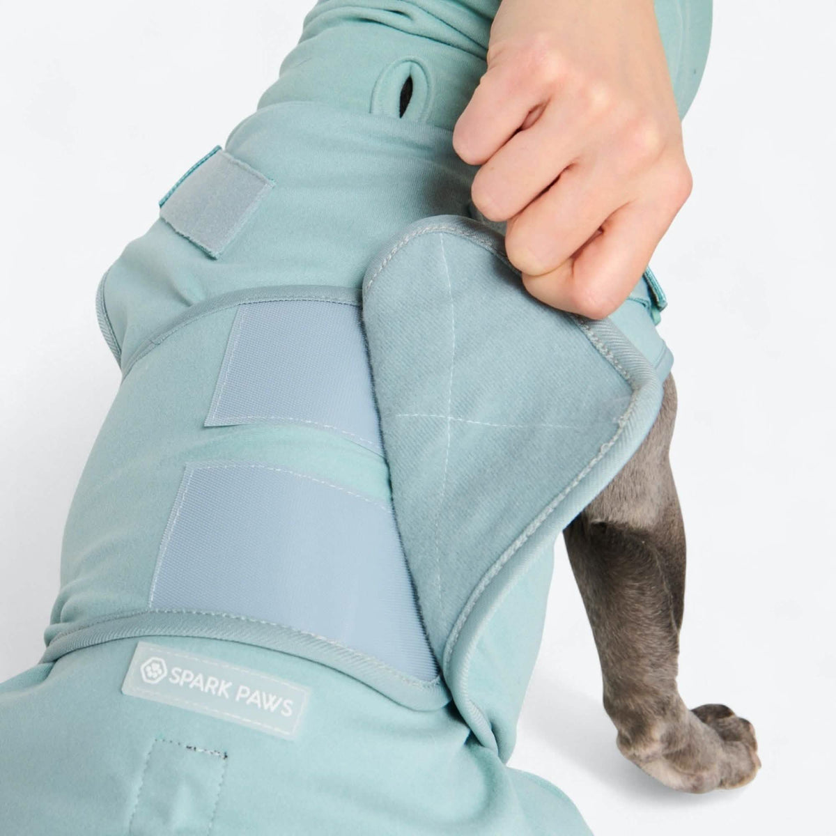 Anxiety Calming Suit – SPARK PAWS