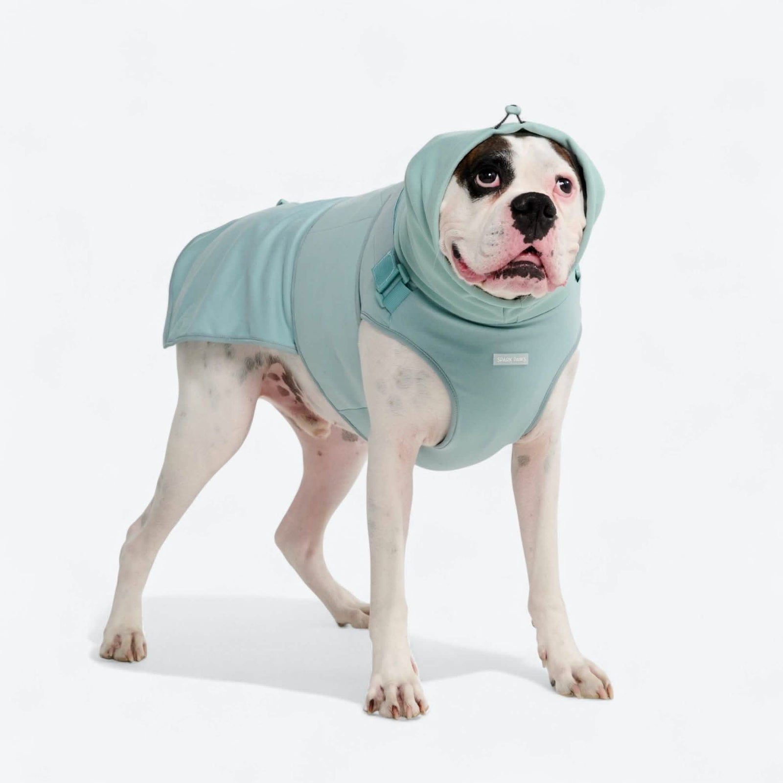 Anxiety Calming Suit – SPARK PAWS