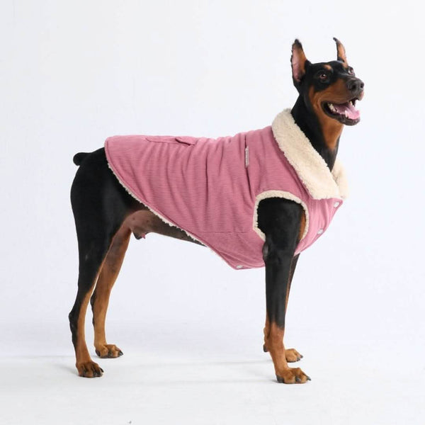 Corduroy Sherpa Fleece Dog Jacket Coat – SPARK PAWS