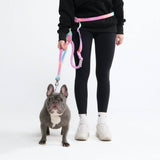 Multipurpose Seatbelt Handsfree Leash & Poop Bag Holder Set - Pastel Icing