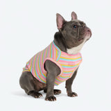 Pink Yellow Stripe Shirt