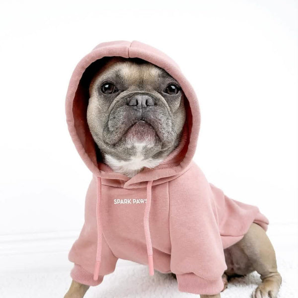 Dog wearing a pink Spark Paws hoodie