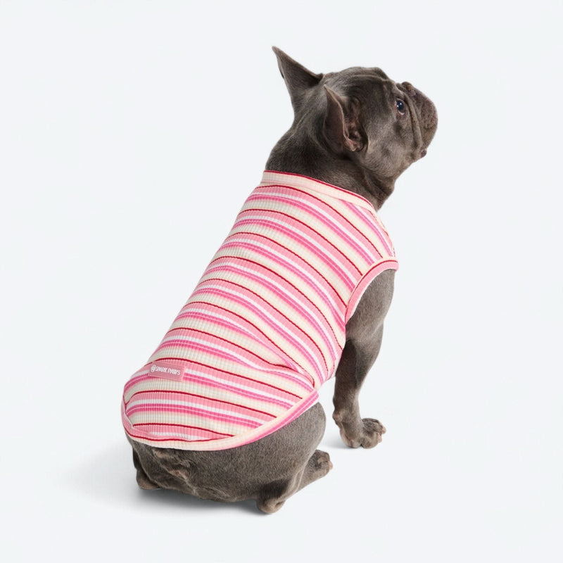 Pink Red Stripe Shirt