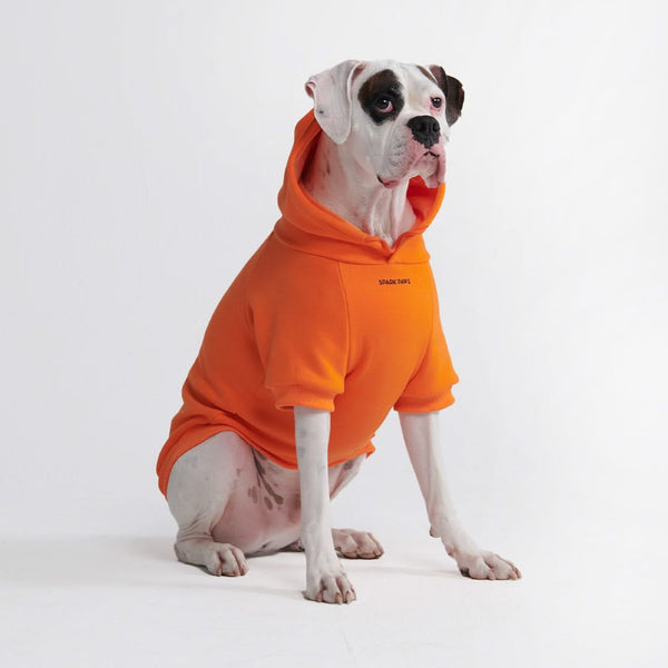 Essential Dog Hoodie - Spritz