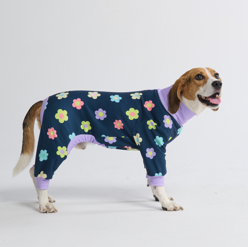 Dachshund Dog Pyjamas Kids Senya Cute Dachshunds In Heart Pajamas