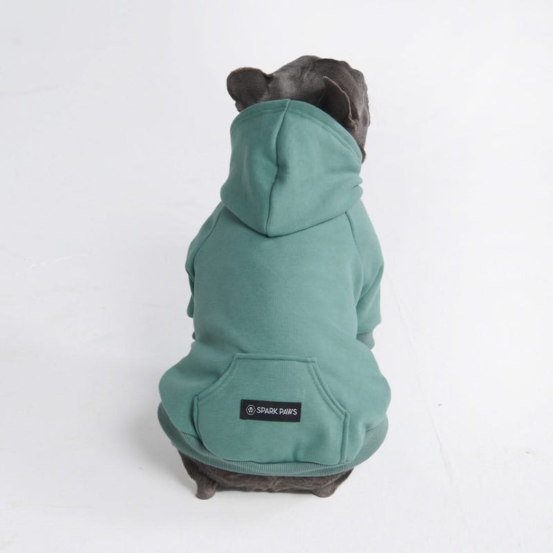 Essential Dog Hoodie - Teal