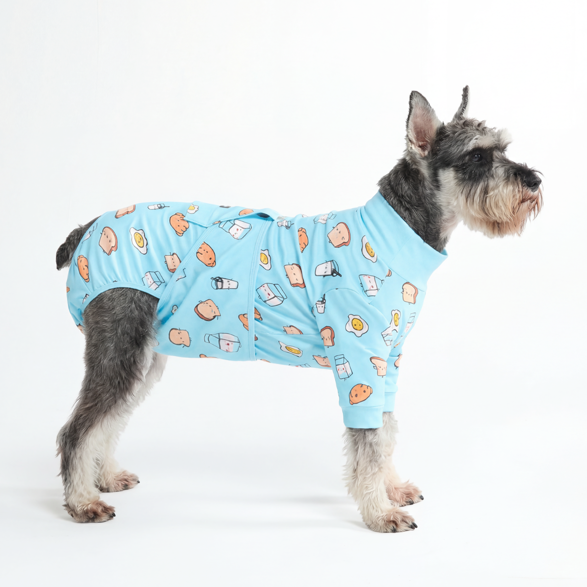 Dog Surgical Suit - Breakfast Blue – SPARK PAWS