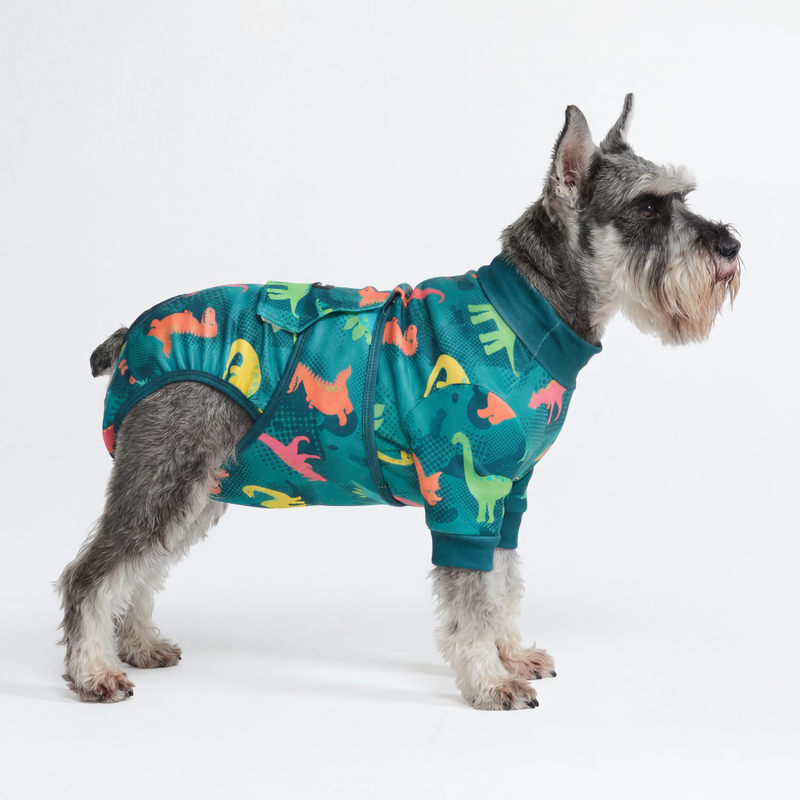 Dog Surgical Suit - Dinosaurs – SPARK PAWS