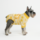 Sunshine Surgical Suit||size:M