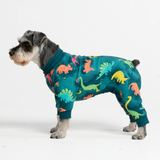 Dinosaurs PJ||size:M
