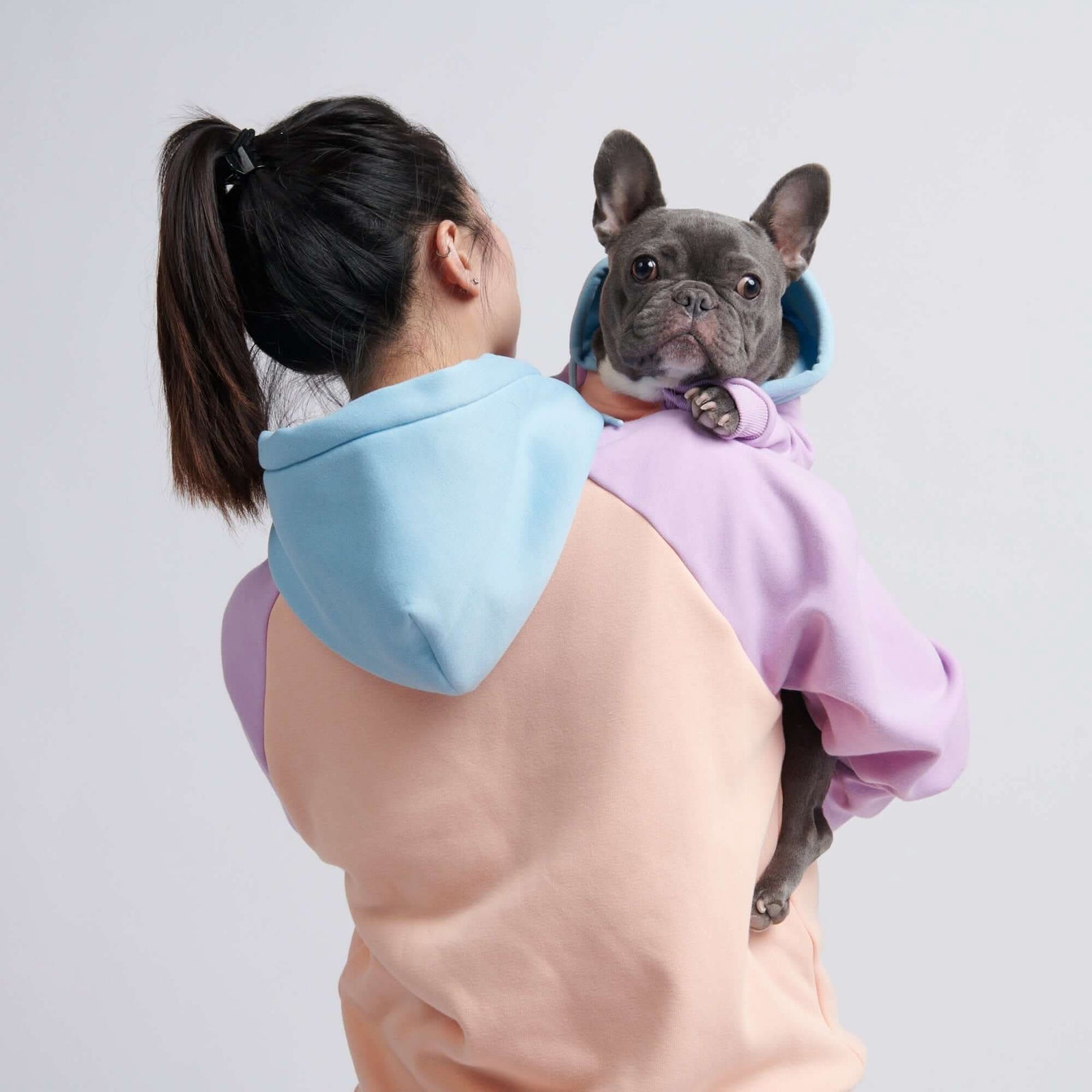 Purple Teal Mango Black Color-block Human Hoodie (Dog