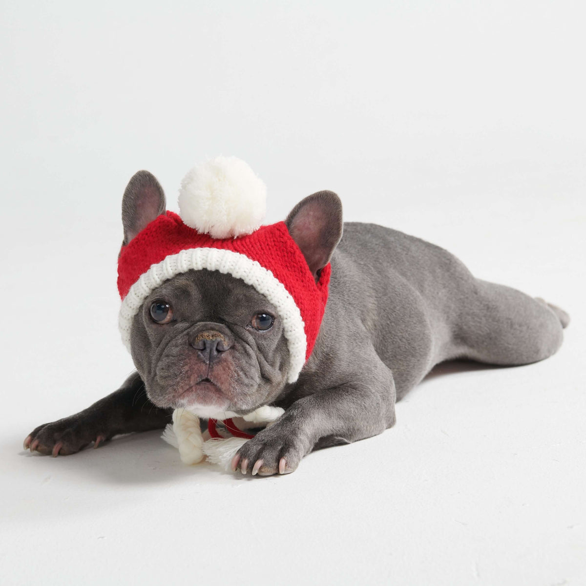 Knit Pom Pom Dog Beanie Hats – SPARK PAWS
