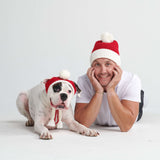 Knit Pom Pom Dog Beanie Hat - Santa