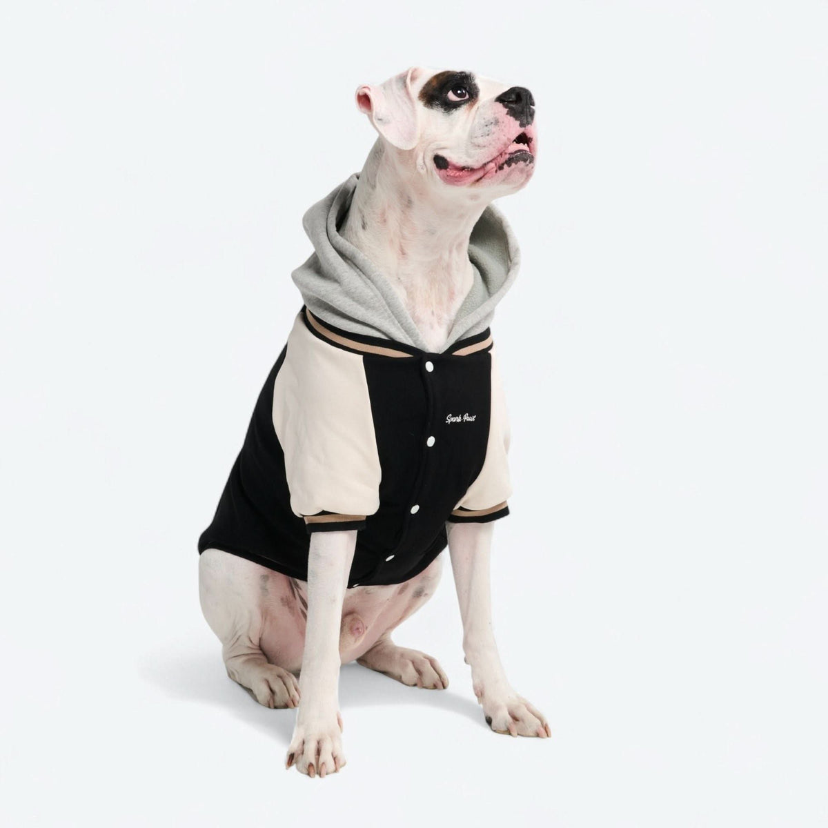 Dog Varsity Jacket - Black – SPARK PAWS