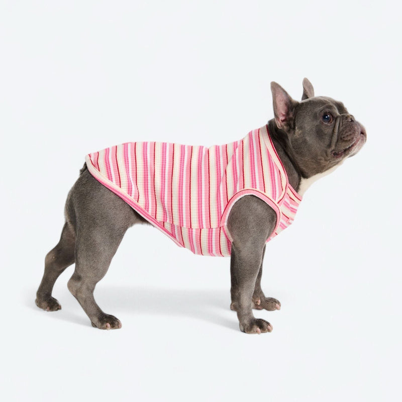 Pink Red Stripe Shirt