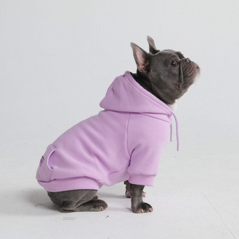 Purple shop dog hoodie