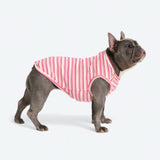 Stripe Shirt - Pink Red