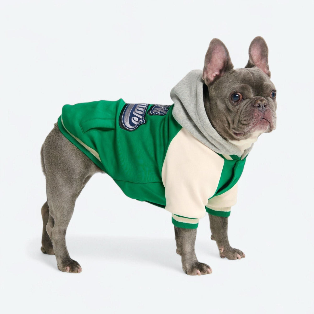 Dog Varsity Jacket - Green – SPARK PAWS