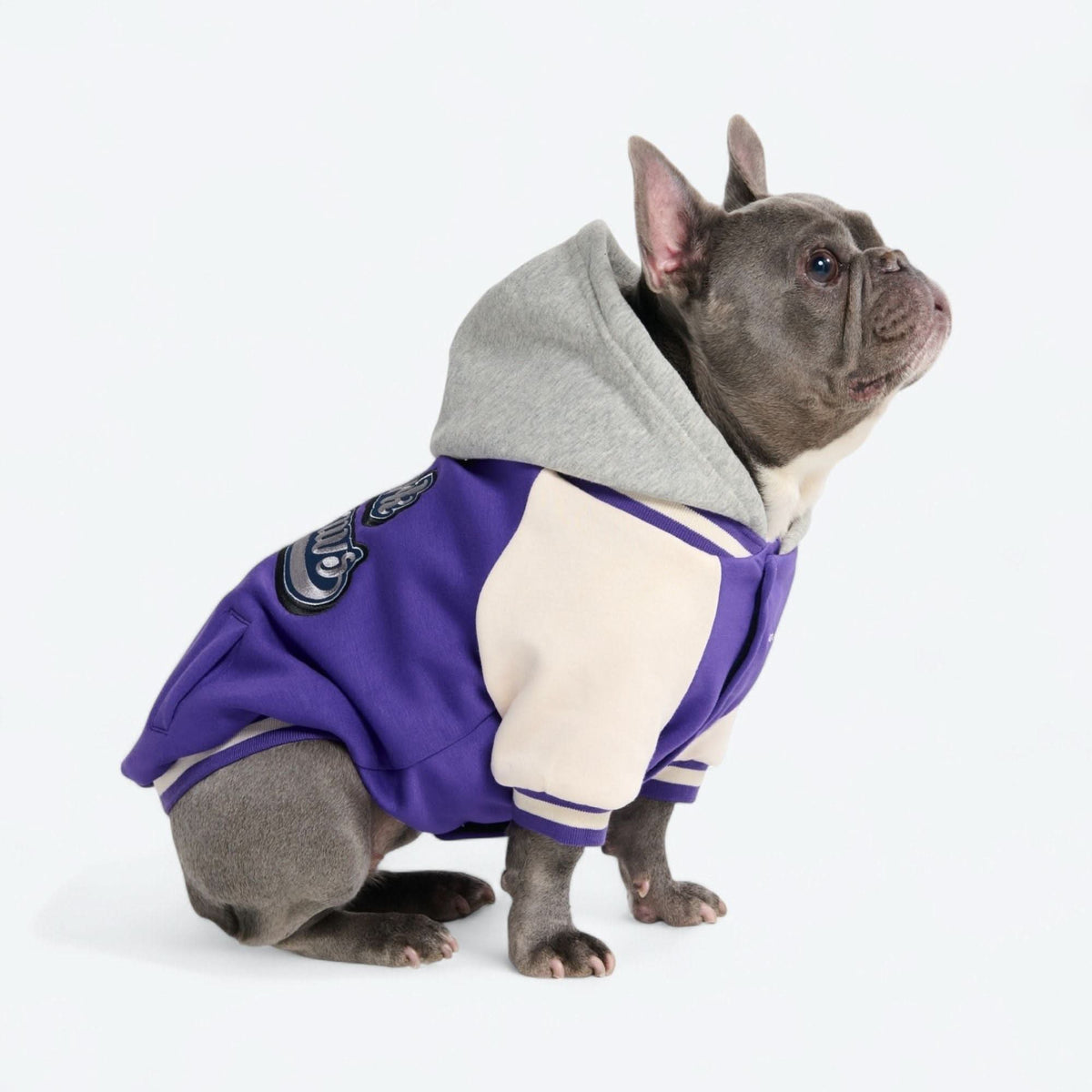 Dog Varsity Jacket - Purple – SPARK PAWS