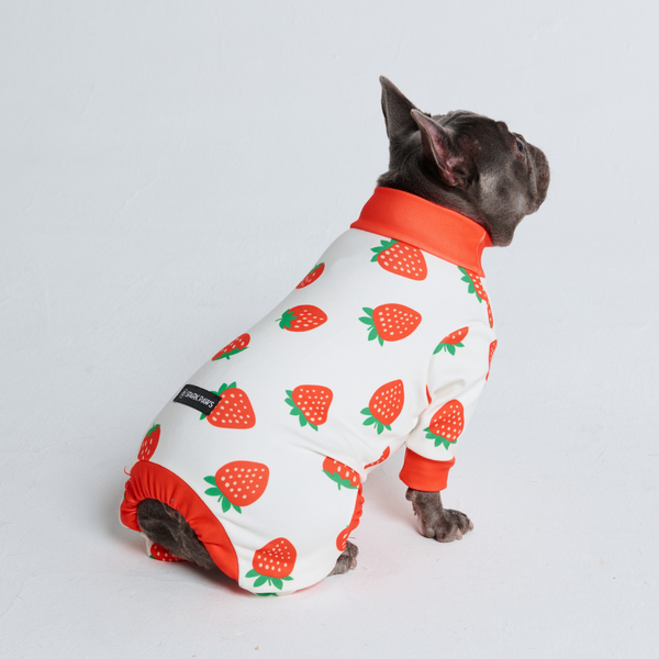 Dog Pajama - Strawberries
