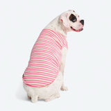 Pink Red Stripe Shirt