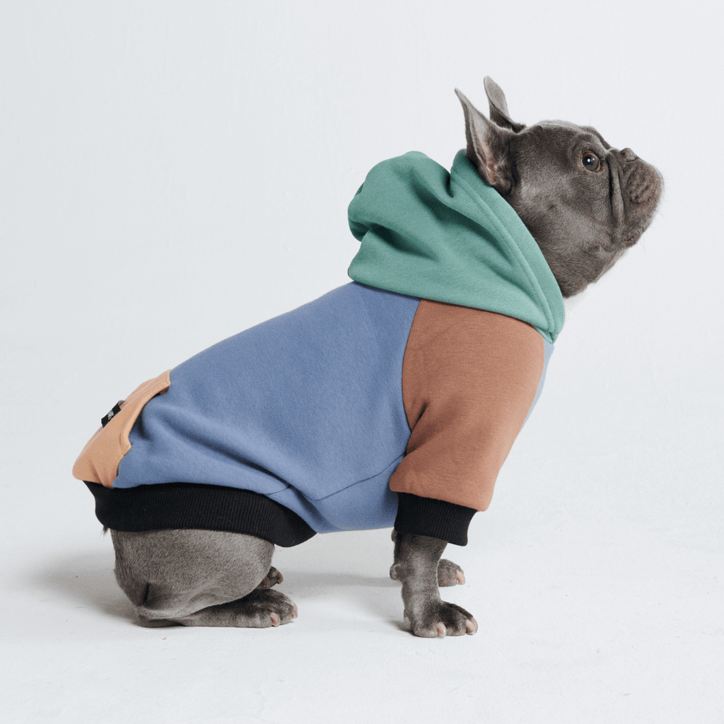 Color Block Dog Hoodies – SPARK PAWS