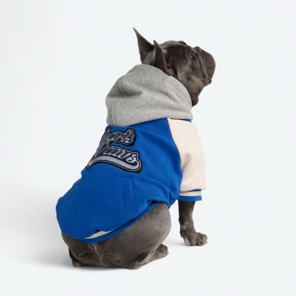 Dog Varsity Jacket - Blue – SPARK PAWS