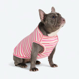Pink Red Stripe Shirt